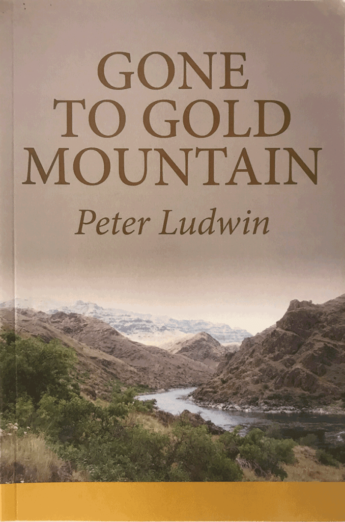 Gone to Gold Mountain by Peter Ludwin