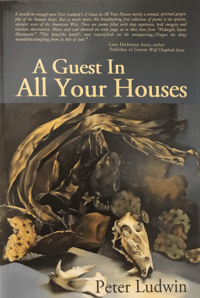 A Guest in All Your Houses by Peter Ludwin